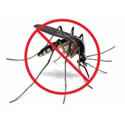 mosquito-control-service